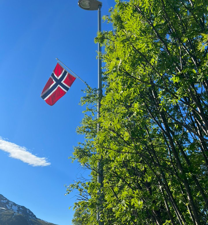 Flagg langs E6 Nordreisa kommune.